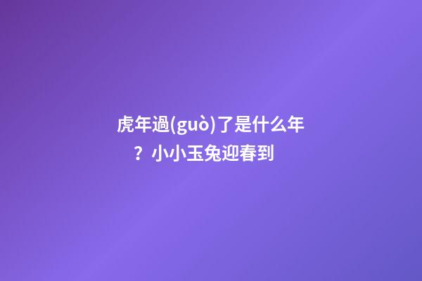 虎年過(guò)了是什么年？小小玉兔迎春到